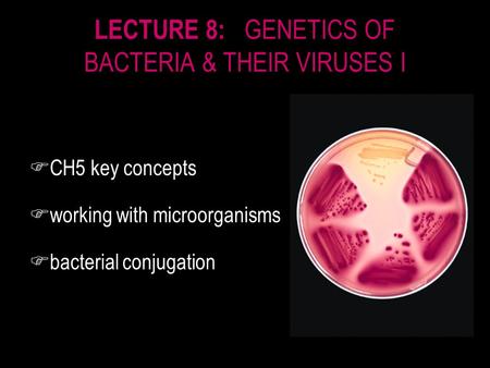 LECTURE 8: GENETICS OF BACTERIA & THEIR VIRUSES I