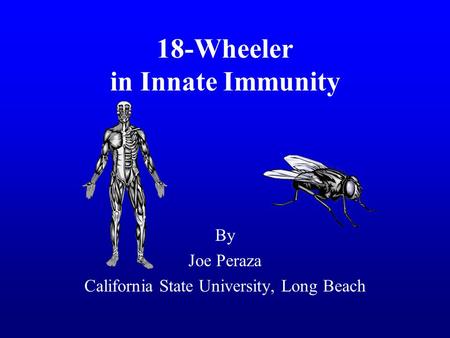 18-Wheeler in Innate Immunity By Joe Peraza California State University, Long Beach.