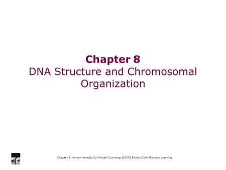 Chapter 8 Human Heredity by Michael Cummings ©2006 Brooks/Cole-Thomson Learning Chapter 8 DNA Structure and Chromosomal Organization.