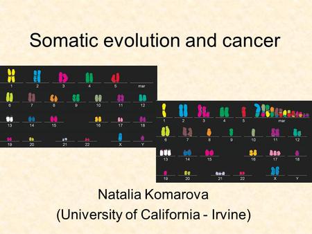 Natalia Komarova (University of California - Irvine) Somatic evolution and cancer.