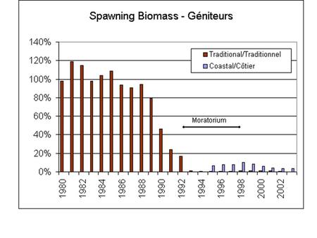 Cod spawning biomass 1980-2004, Newfoundland. The last cod?