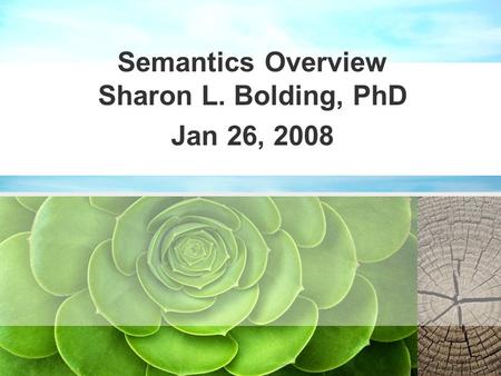 Semantics Overview Sharon L. Bolding, PhD Jan 26, 2008.