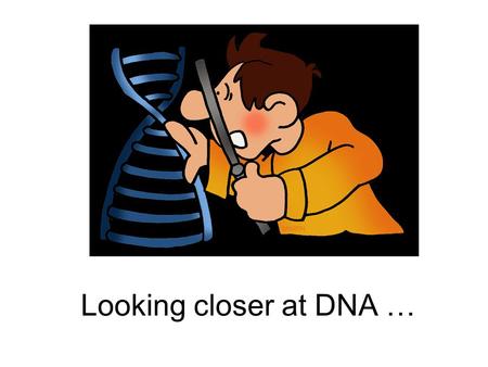 Looking closer at DNA ….