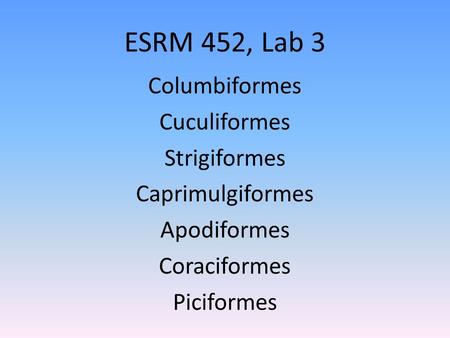 ESRM 452, Lab 3 Columbiformes Cuculiformes Strigiformes Caprimulgiformes Apodiformes Coraciformes Piciformes.