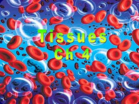 Major Tissue Types Epithelial Tissue Connective Tissue Muscle Tissue Nervous Tissue Tissues are groups of cells with a common function.
