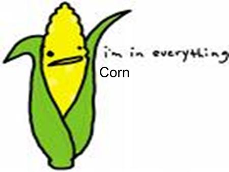 Corn. Corn: just try to avoid it Used in corn oil, corn starch, MSG, in all adhesives, to cover textiles and leather, in some alcohol, in most ethanol.