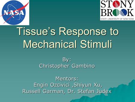 Tissue’s Response to Mechanical Stimuli By: Christopher Gambino Mentors: Engin Ozcivici,Shiyun Xu, Engin Ozcivici,Shiyun Xu, Russell Garman, Dr. Stefan.