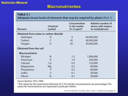 Nutrición MineralMacronutrientes. Micronutrientes.
