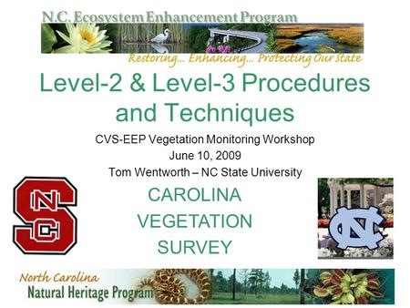 Level-2 & Level-3 Procedures and Techniques CVS-EEP Vegetation Monitoring Workshop June 10, 2009 Tom Wentworth – NC State University CAROLINA VEGETATION.