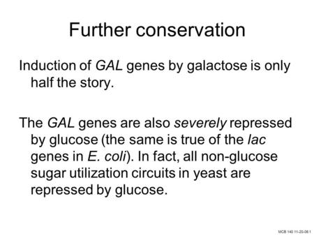 MCB 140 11-20-06 1 Further conservation Induction of GAL genes by galactose is only half the story. The GAL genes are also severely repressed by glucose.