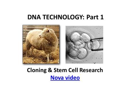 DNA TECHNOLOGY: Part 1 Cloning & Stem Cell Research Nova video.