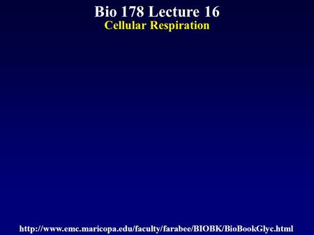 Bio 178 Lecture 16 Cellular Respiration