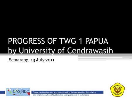 PROGRESS OF TWG 1 PAPUA by University of Cendrawasih Semarang, 13 July 2011.