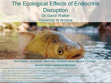 The Ecological Effects of Endocrine Disruption Dr. David Walker University of Arizona David Walker 1, Nick Paretti 2, Gail Cordy 2, Timothy S. Gross 3,