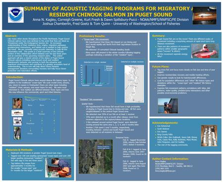 A SUMMARY OF ACOUSTIC TAGGING PROGRAMS FOR MIGRATORY AND RESIDENT CHINOOK SALMON IN PUGET SOUND Anna N. Kagley, Correigh Greene, Kurt Fresh & Dawn Spillsbury-Pucci.