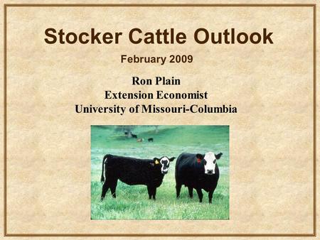 Ron Plain Extension Economist University of Missouri-Columbia Stocker Cattle Outlook February 2009.
