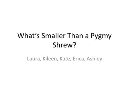 What’s Smaller Than a Pygmy Shrew? Laura, Kileen, Kate, Erica, Ashley.