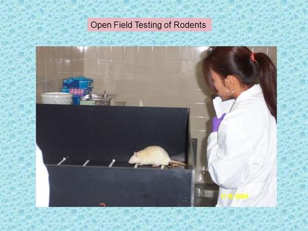 Open Field Testing of Rodents. Anxiety – Gross Motor Behavior - Open Field Test Place animal in a corner square for a designated amount of time then observe.