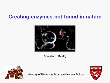 Creating enzymes not found in nature Burckhard Seelig University of Minnesota & Harvard Medical School.