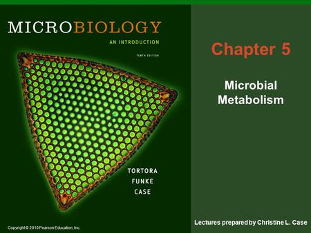 Chapter 5 Microbial Metabolism.