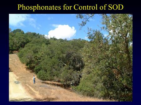 Phosphonates for Control of SOD. Phosphonate Use Guidelines and Application Protocol This protocol is designed to give the applicator practical information.