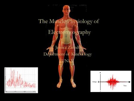EMG The Muscle Physiology of Electromyography Jessica Zarndt