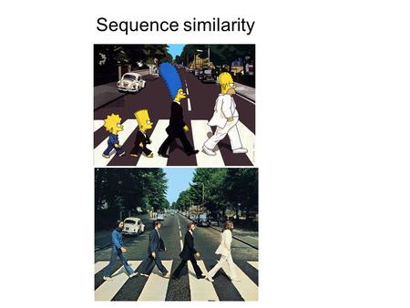 Sequence similarity.