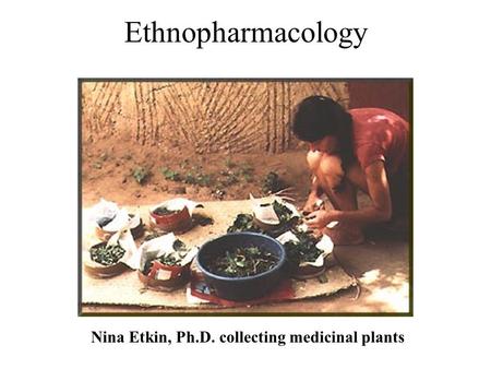 Ethnopharmacology Nina Etkin, Ph.D. collecting medicinal plants.