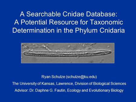 A Searchable Cnidae Database: A Potential Resource for Taxonomic Determination in the Phylum Cnidaria Ryan Schulze The University of Kansas,
