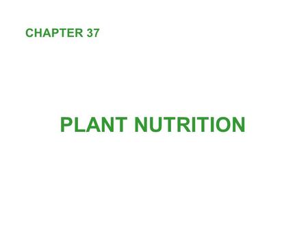 PLANT NUTRITION CHAPTER 37. Every organism is an open system connected to its environment by a continuous exchange of energy and materials. Energy flow.