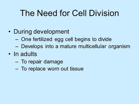 The Need for Cell Division During development – One fertilized egg cell begins to divide – Develops into a mature multicellular organism In adults – To.