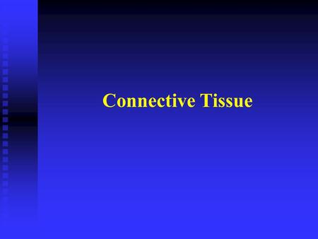 Connective Tissue. 1. General characteristics Features: 1. Small number cells and a large amount of matrix 2. No polarity and filled with blood and vessels.