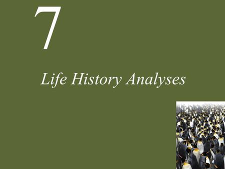 7 Life History Analyses. 7 Life History Analyses Case Study: Nemo Grows Up Life History Diversity Life History Continua Trade-Offs Life Cycle Evolution.