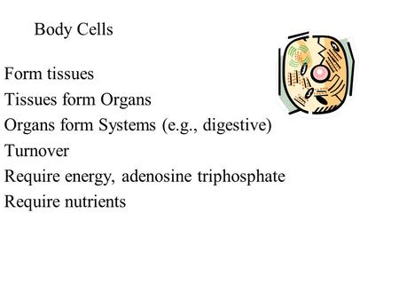 Body Cells Form tissues Tissues form Organs Organs form Systems (e.g., digestive) Turnover Require energy, adenosine triphosphate Require nutrients.