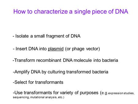 How to characterize a single piece of DNA - Isolate a small fragment of DNA - Insert DNA into plasmid (or phage vector) -Transform recombinant DNA molecule.