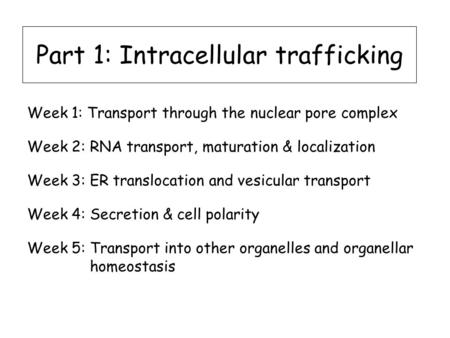 Part 1: Intracellular trafficking Week 1: Transport through the nuclear pore complex Week 2: RNA transport, maturation & localization Week 3: ER translocation.