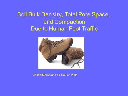 Soil Bulk Density, Total Pore Space, and Compaction Due to Human Foot Traffic Jessie Meeks and Ali Theuer, 2001.