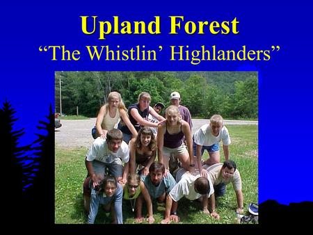 Upland Forest Upland Forest “The Whistlin’ Highlanders”
