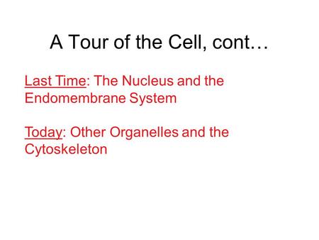A Tour of the Cell, cont… Last Time: The Nucleus and the Endomembrane System Today: Other Organelles and the Cytoskeleton.