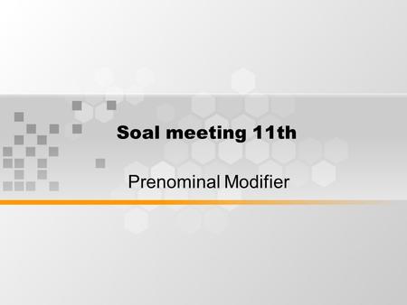 Soal meeting 11th Prenominal Modifier. Make a noun phrase from the words below and define the prenominal modifier 1.dove, especially, the, young, turtle.