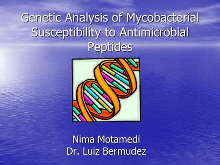 Genetic Analysis of Mycobacterial Susceptibility to Antimicrobial Peptides Nima Motamedi Dr. Luiz Bermudez.