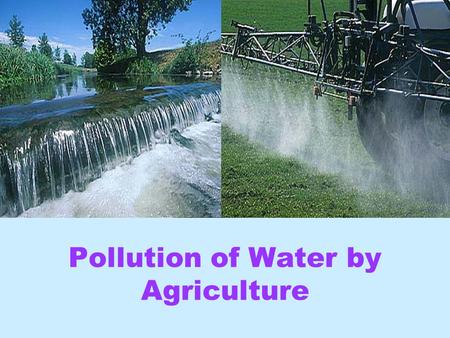Pollution of Water by Agriculture Vicki Chapman Vanina Guevel Anne Newson Tony.