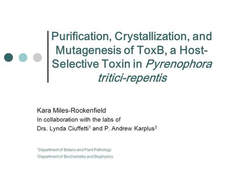 Kara Miles-Rockenfield In collaboration with the labs of Drs. Lynda Ciuffetti 1 and P. Andrew Karplus 2 Purification, Crystallization, and Mutagenesis.