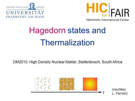 Hagedorn states and Thermalization DM2010, High Density Nuclear Matter, Stellenbosch, South Africa (courtesy L. Ferroni)