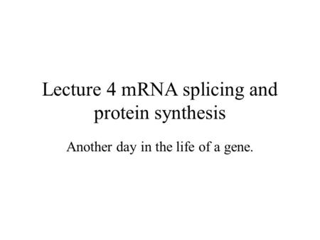 Lecture 4 mRNA splicing and protein synthesis Another day in the life of a gene.