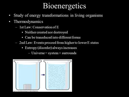 Bioenergetics Study of energy transformations in living organisms