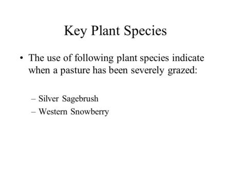 Key Plant Species The use of following plant species indicate when a pasture has been severely grazed: –Silver Sagebrush –Western Snowberry.