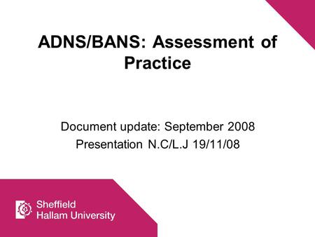 ADNS/BANS: Assessment of Practice Document update: September 2008 Presentation N.C/L.J 19/11/08.