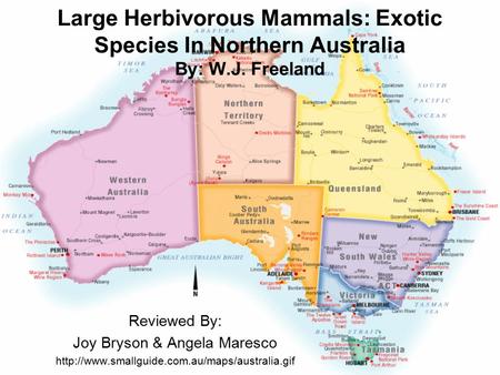 Large Herbivorous Mammals: Exotic Species In Northern Australia By: W.J. Freeland Reviewed By: Joy Bryson & Angela Maresco