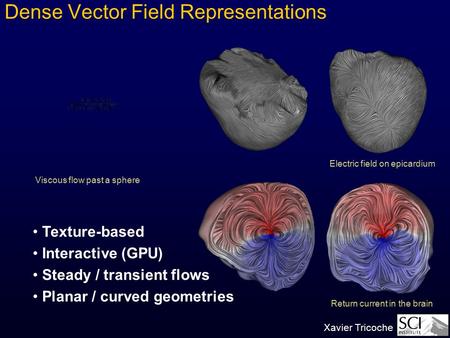 Xavier Tricoche Dense Vector Field Representations Texture-based Interactive (GPU) Steady / transient flows Planar / curved geometries Viscous flow past.